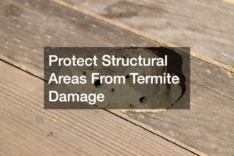 Protect Structural Areas From Termite Damage