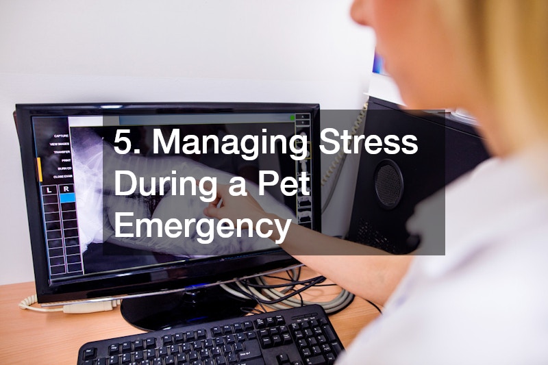 5. Managing Stress During a Pet Emergency