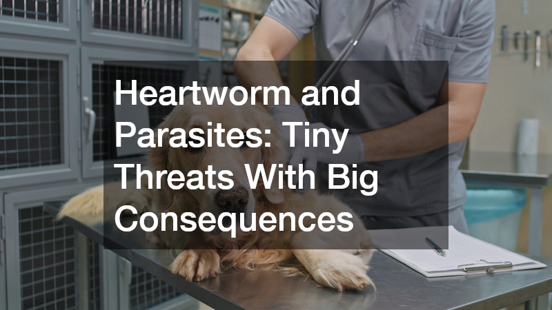 Heartworm and Parasites: Tiny Threats With Big Consequences