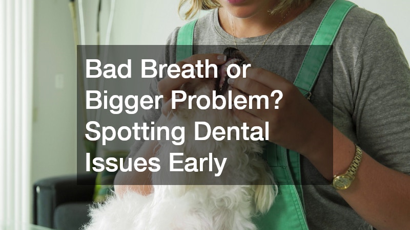 Bad Breath or Bigger Problem? Spotting Dental Issues Early