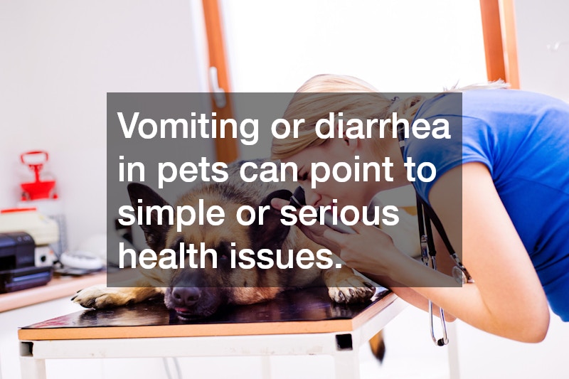 Vomiting or diarrhea in pets can point to simple or serious health issues.