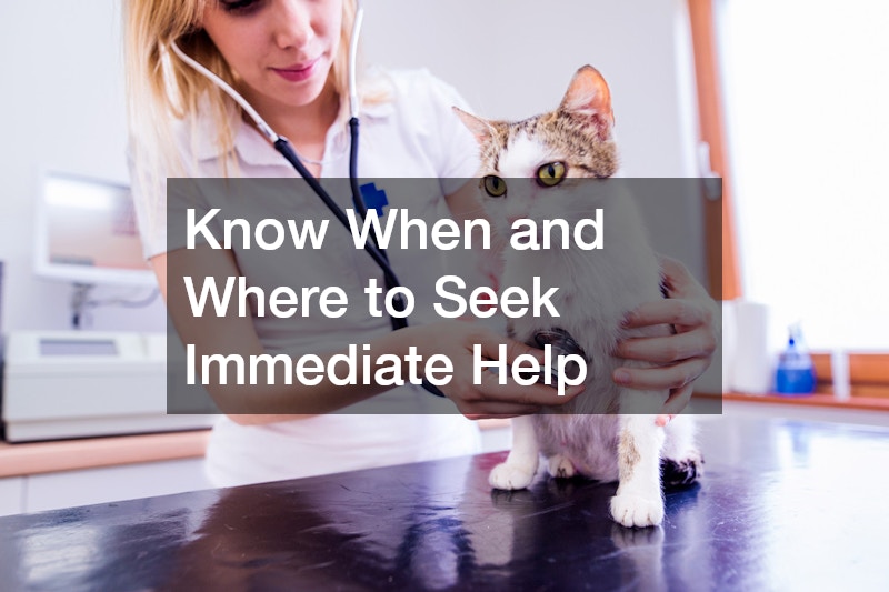 Know When and Where to Seek Immediate Help