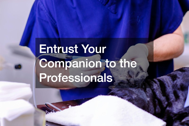 Entrust Your Companion to the Professionals