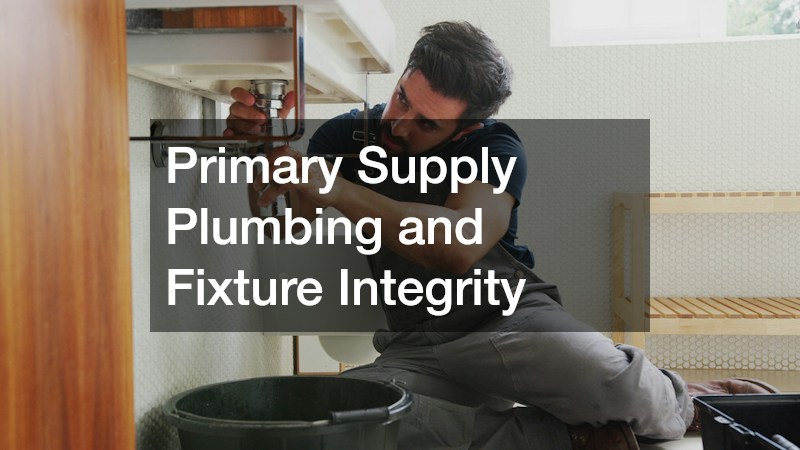 Primary Supply Plumbing and Fixture Integrity