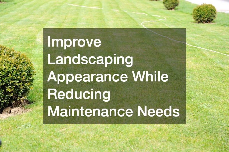 Improve Landscaping Appearance While Reducing Maintenance Needs