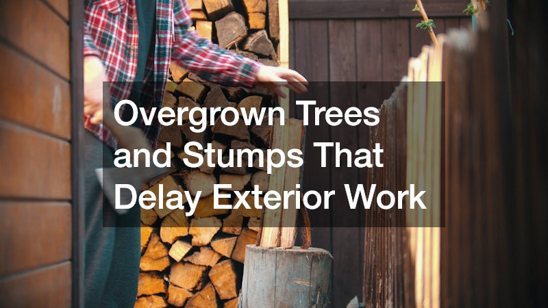 Overgrown Trees and Stumps That Delay Exterior Work