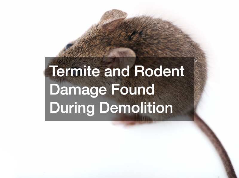 Termite and Rodent Damage Found During Demolition