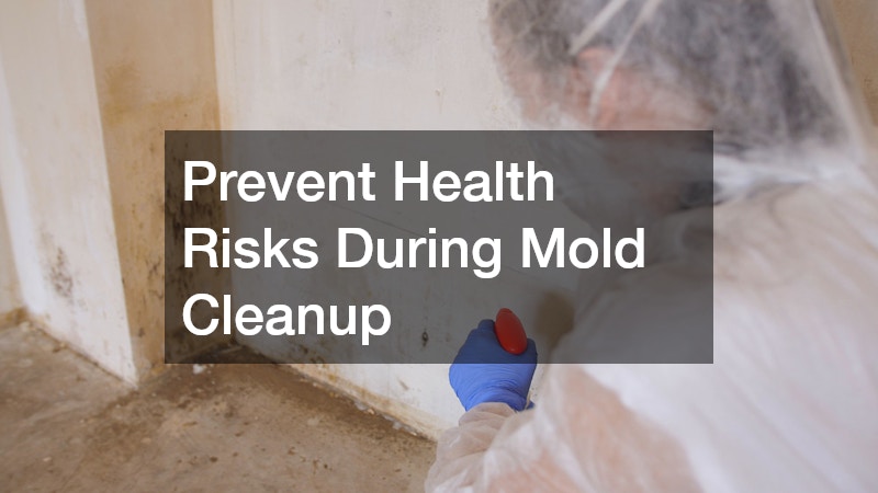 Prevent Health Risks During Mold Cleanup