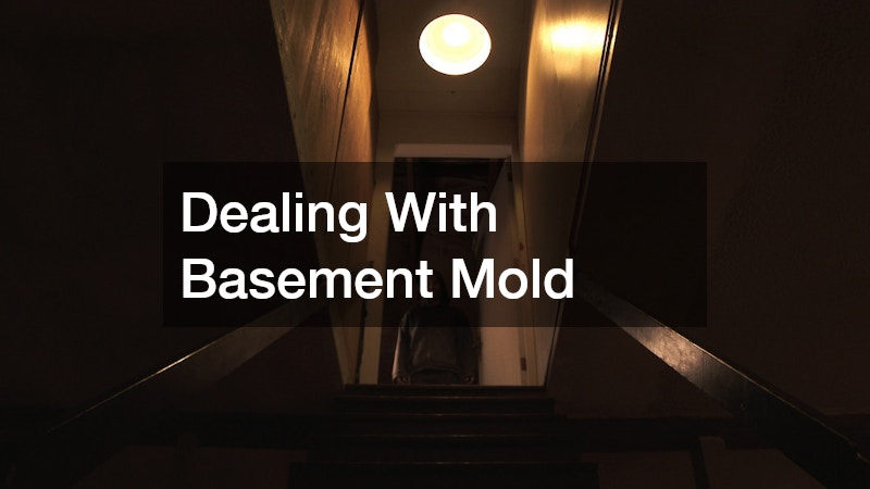 Dealing With Basement Mold