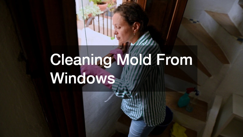 Cleaning Mold From Windows
