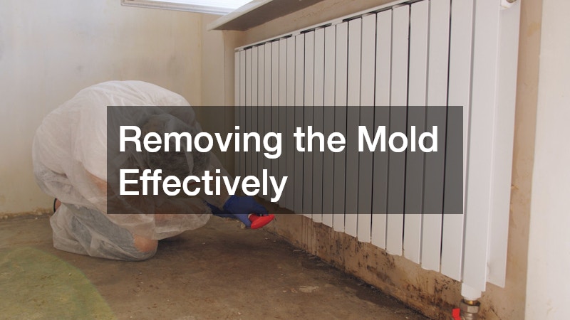 Removing the Mold Effectively