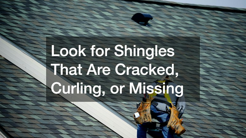 Look for Shingles That Are Cracked, Curling, or Missing