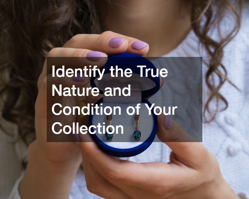 Identify the True Nature and Condition of Your Collection