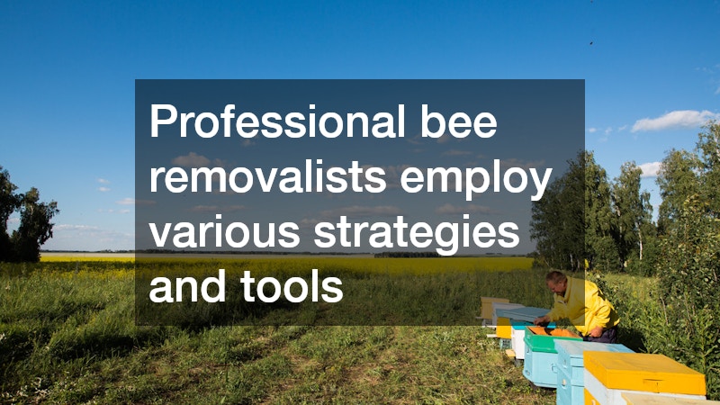 Professional bee removalists employ various strategies and tools