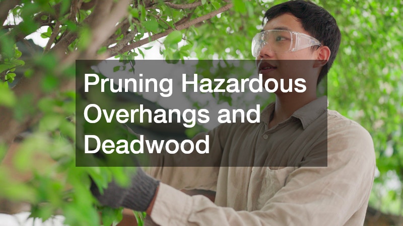 Pruning Hazardous Overhangs and Deadwood