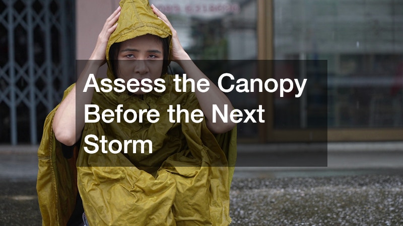 Assess the Canopy Before the Next Storm