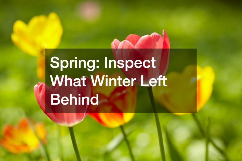Spring: Inspect What Winter Left Behind