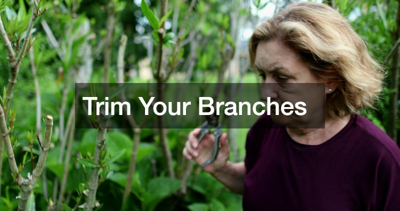 Trim Your Branches