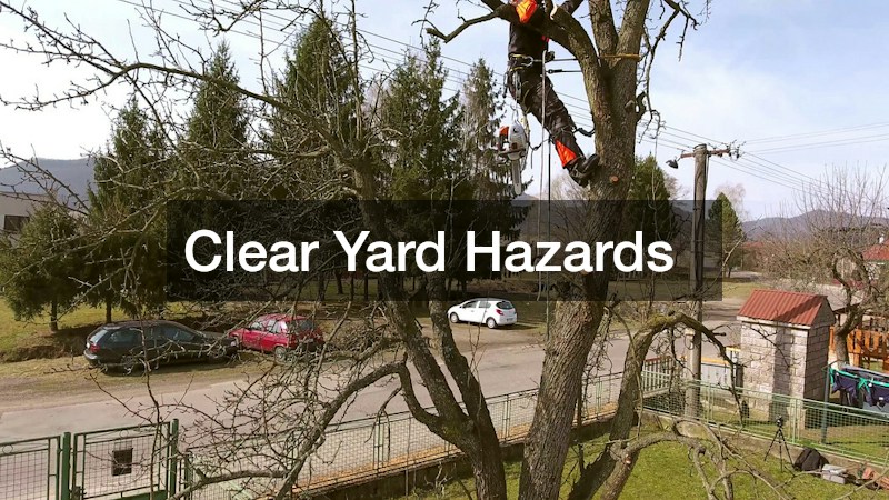 Clear Yard Hazards