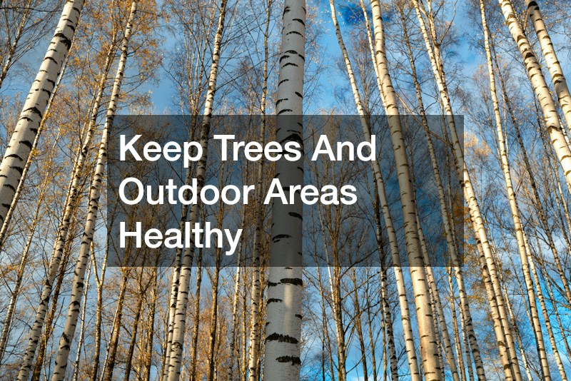 Keep Trees And Outdoor Areas Healthy
