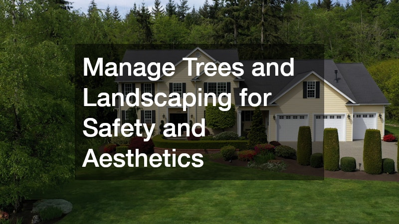 Manage Trees and Landscaping for Safety and Aesthetics
