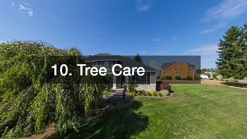 10. Tree Care