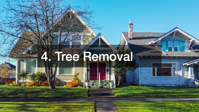 4. Tree Removal