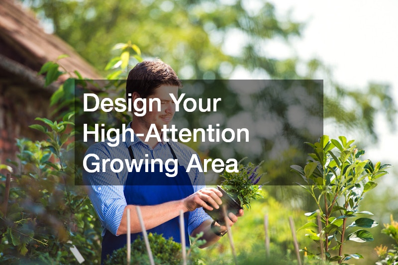 Design Your High-Attention Growing Area