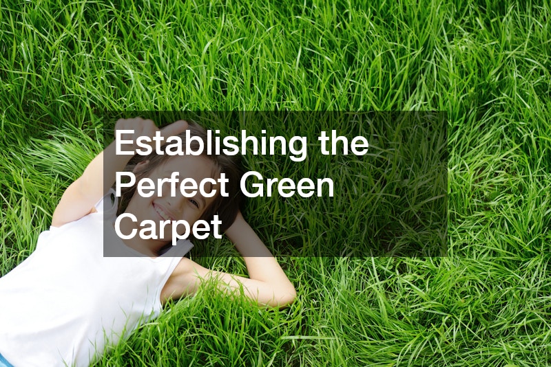 Establishing the Perfect Green Carpet