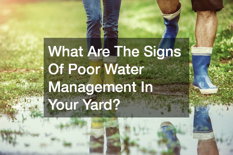 What Are The Signs Of Poor Water Management In Your Yard?