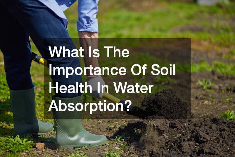 What Is The Importance Of Soil Health In Water Absorption?