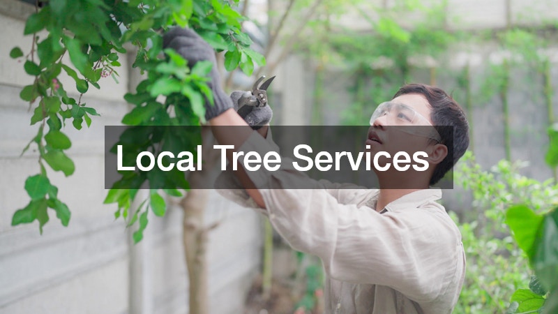 Local Tree Services