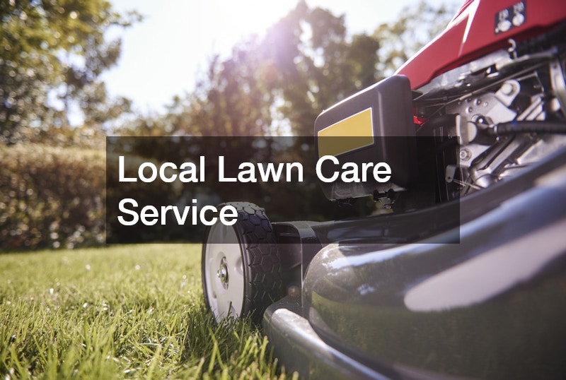 Local Lawn Care Service