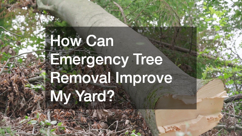 How Can Emergency Tree Removal Improve My Yard?