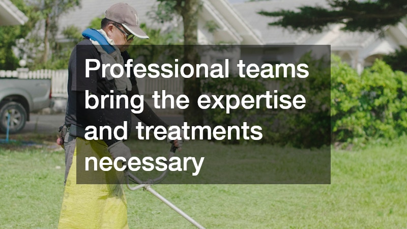Professional teams bring the expertise and treatments necessary