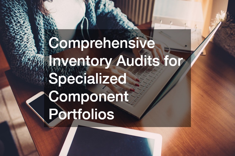 Comprehensive Inventory Audits for Specialized Component Portfolios