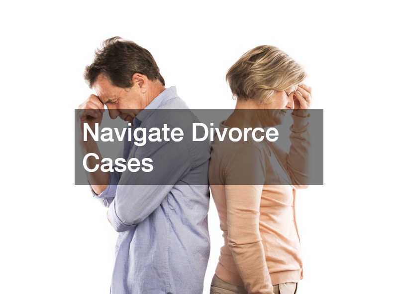 Navigate Divorce Cases