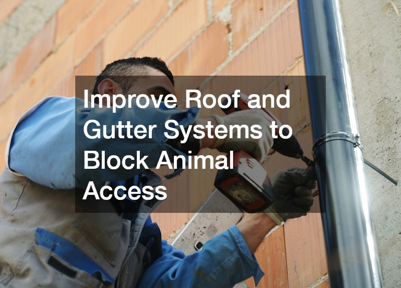 Improve Roof and Gutter Systems to Block Animal Access
