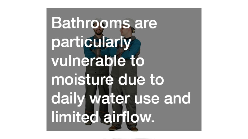Bathrooms are particularly vulnerable to moisture due to daily water use and limited airflow.