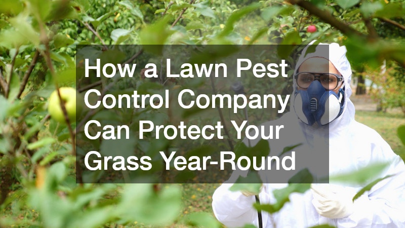 How a Lawn Pest Control Company Can Protect Your Grass Year-Round