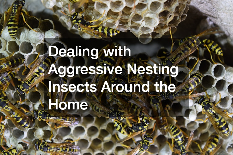 Dealing with Aggressive Nesting Insects Around the Home
