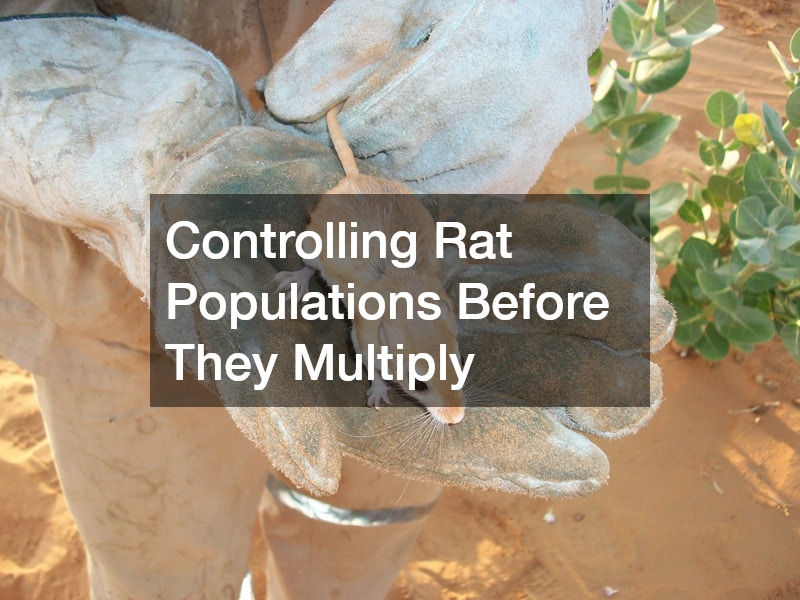Controlling Rat Populations Before They Multiply