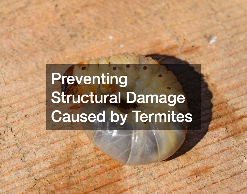 Preventing Structural Damage Caused by Termites