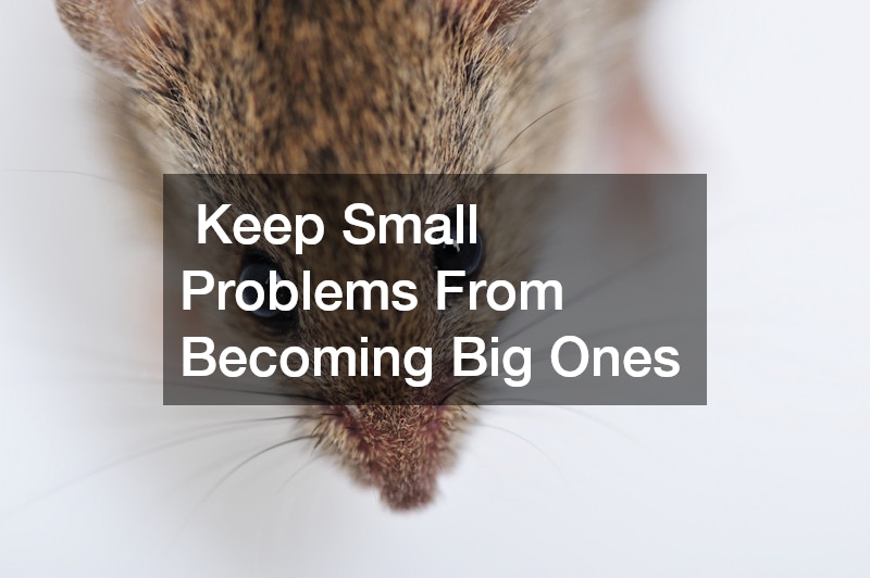 Keep Small Problems From Becoming Big Ones
