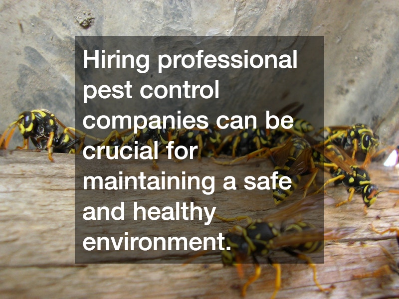 Hiring professional pest control companies can be crucial for maintaining a safe and healthy environment.