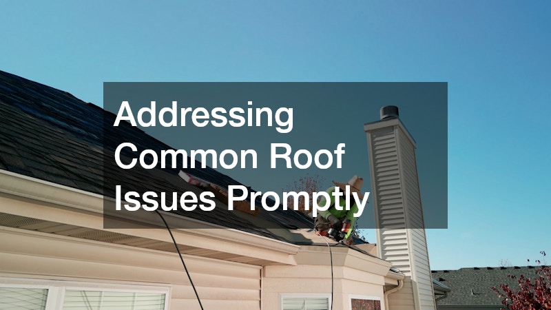 Addressing Common Roof Issues Promptly