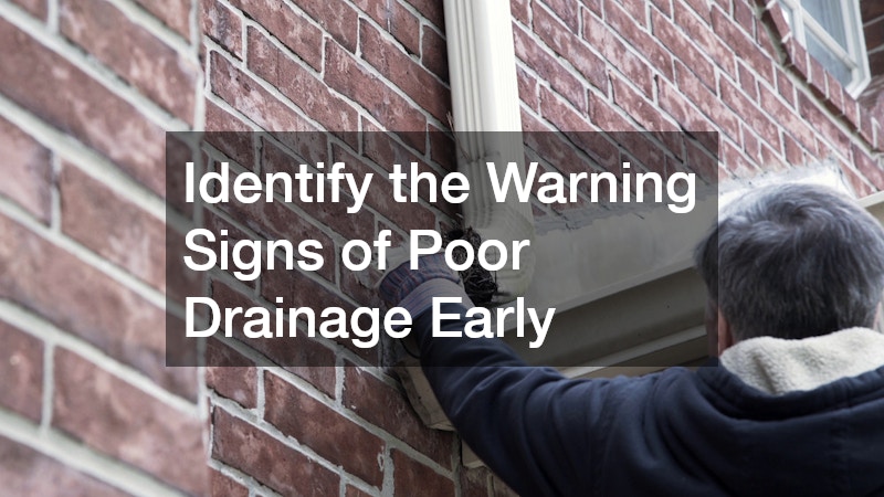 Identify the Warning Signs of Poor Drainage Early