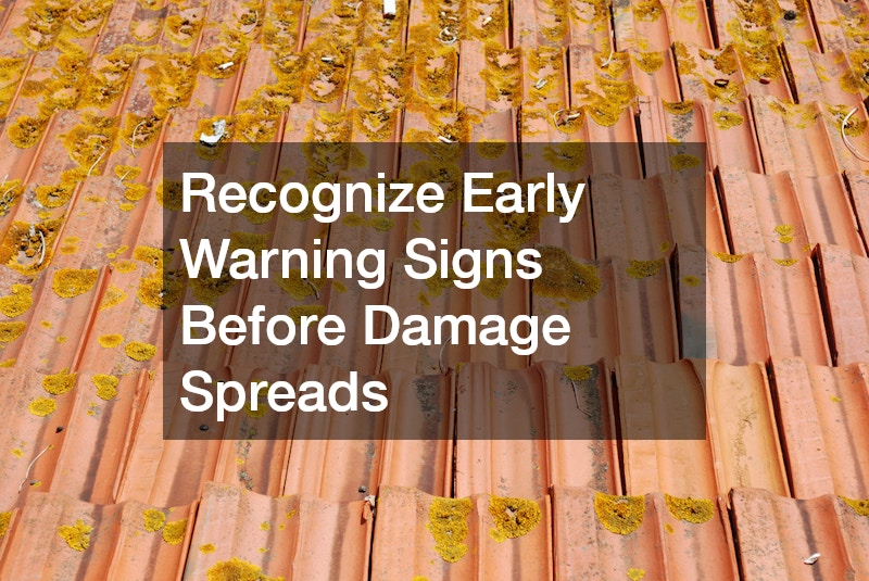 Recognize Early Warning Signs Before Damage Spreads