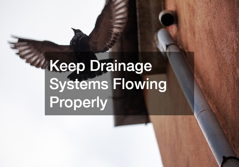 Keep Drainage Systems Flowing Properly