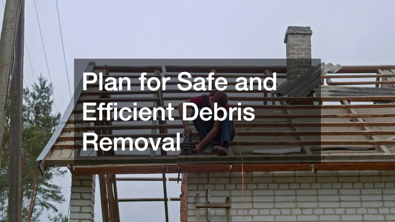 Plan for Safe and Efficient Debris Removal